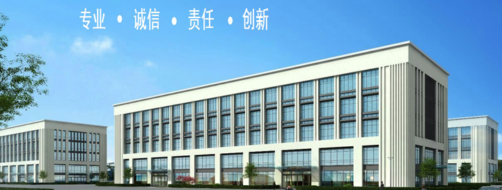 BBIN华芯半导体科技有限公司(图3)