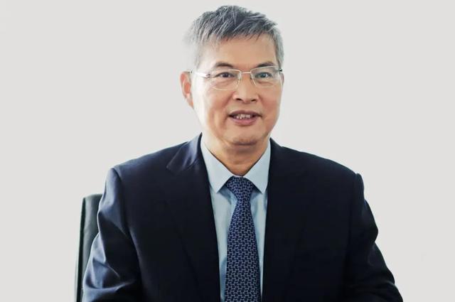 半导体“孤勇者”——走过漫长依旧灿烂BBIN(图2)