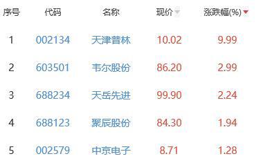BBIN半导体板块跌219% 天津普林涨999%居首(图2)