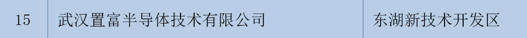 BBIN武汉置富半导体技术有限公司通过 武汉市2022年第二批人工智能企业认定