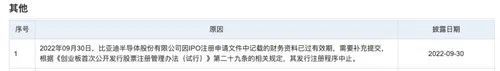 BBIN BBIN宝盈突发！比亚迪半导体：IPO中止！(图2)