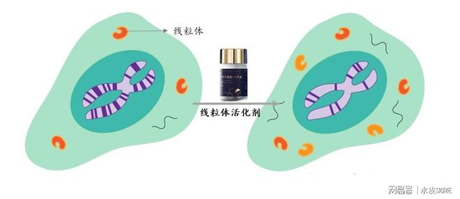 我国半导体功勋李爱珍4BBIN BBIN宝盈集团次申请中科院院士被拒如今成美院士(图5)