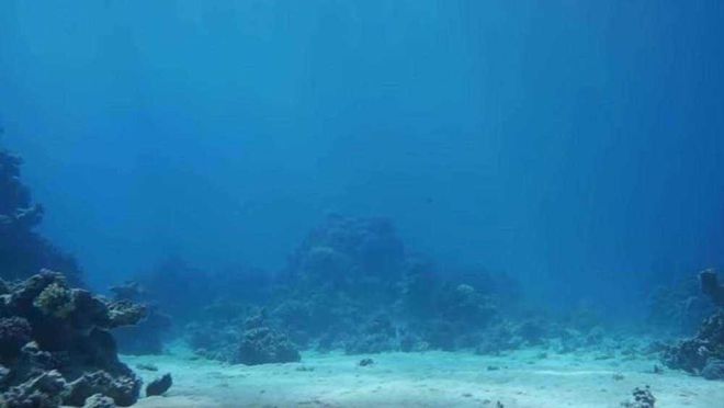 就是BBIN BBIN宝盈集团不死心美国限制中国半导体行业还要拉日本入局或受反噬(图4)