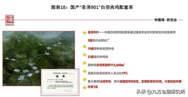 ”0→1“的突破！半导体材料新阶段国BBIN BBIN宝盈产替代关键赛道看它？(图4)