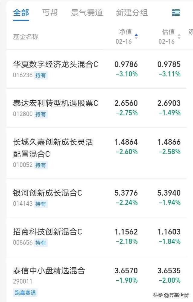 BBIN BBIN宝盈集团2月16日基金复盘持仓大跌资金流出半导体和计算机设备(图2)