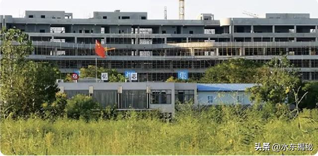 BBIN BBIN宝盈集团中芯国际业绩大增武汉弘芯半导体烂尾自主(图5)