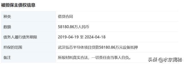 BBIN BBIN宝盈集团中芯国际业绩大增武汉弘芯半导体烂尾自主(图11)