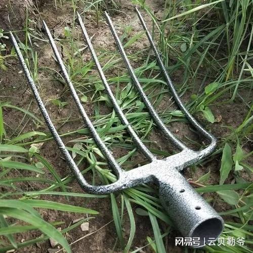 BBIN BBIN宝盈集团揭秘：吉林最神秘悍匪手段凶残号称“吉林第一恶魔”！(图7)