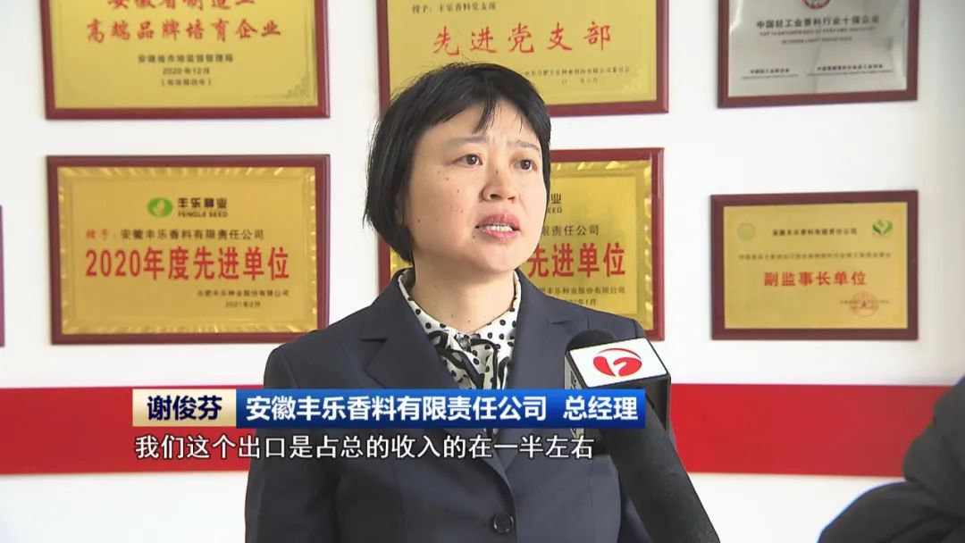 落实税费红利 激发皖企活力BBIN BBIN宝盈(图2)